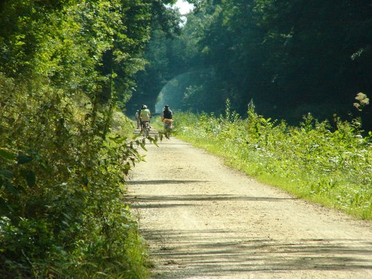 Radweg am alten Main Donau Kanal