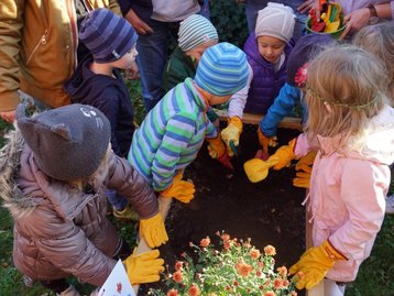 Kinder bepflanzen ein Hochbeet 2