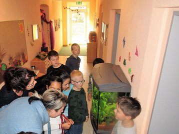 Kinder vor dem Aquarium