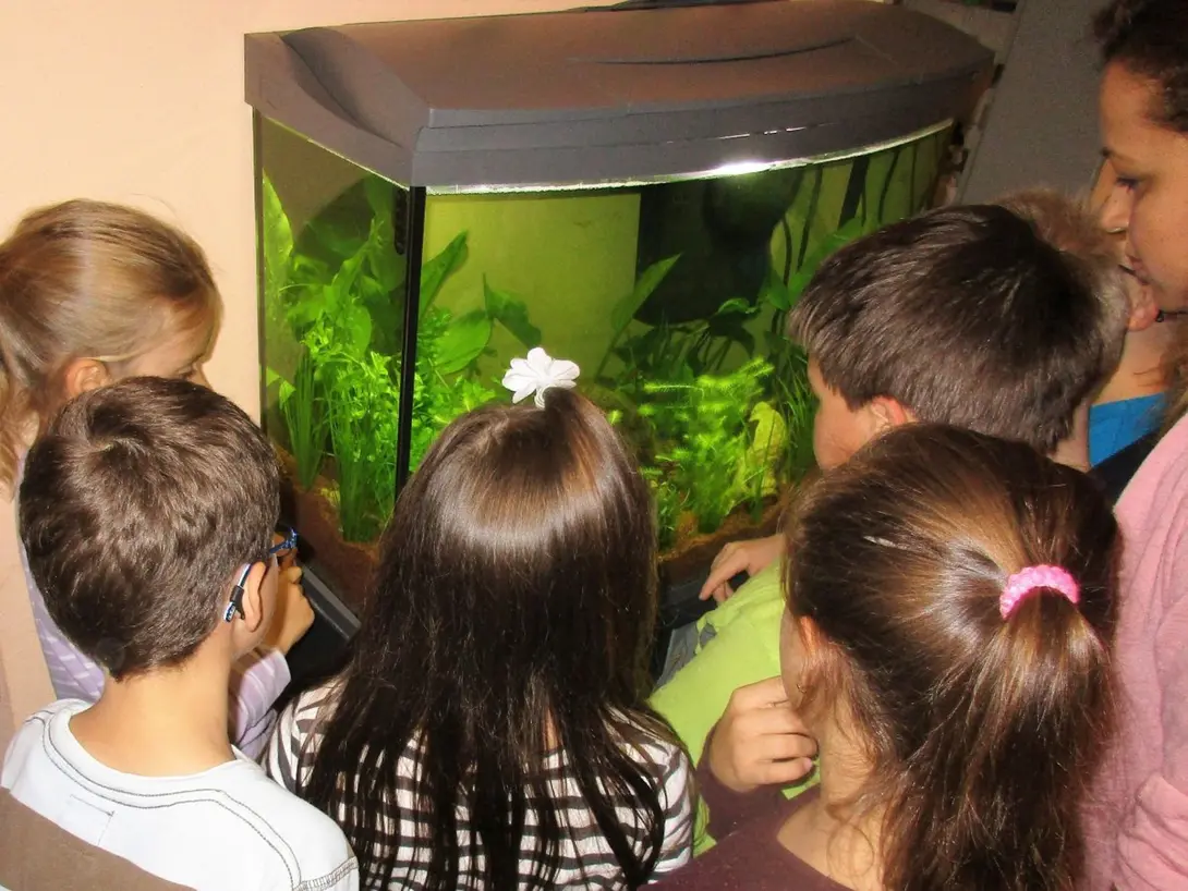 Kinder vor dem Aquarium Kinder vor dem Aquarium