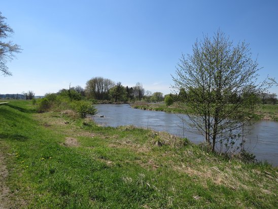 Amper zwischen Inkofen und Moosburg