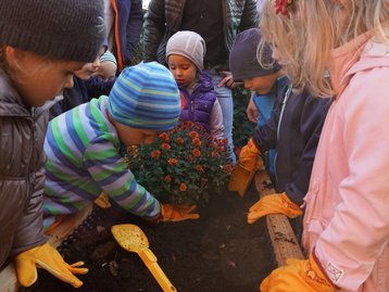 Kinder bepflanzen ein Hochbeet