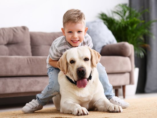 Glückliches Kind mit Hund